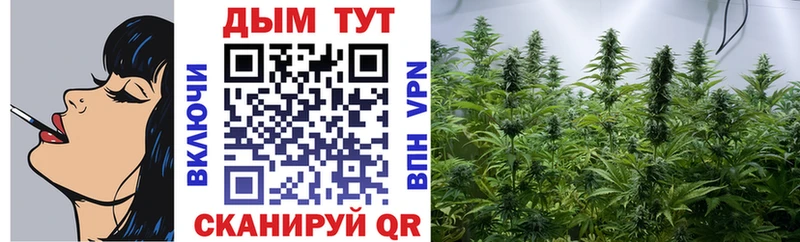 Марихуана VHQ  Купить закладки  Кандалакша 